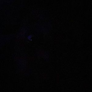 Meet your Posher, Anaya